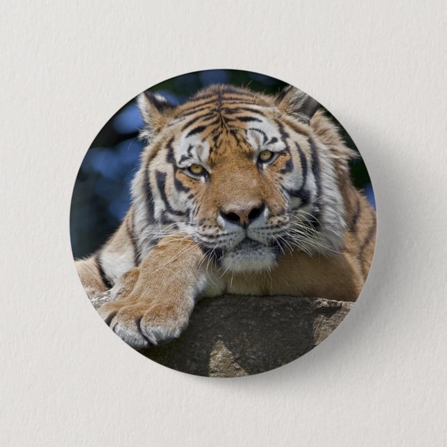 Chapa Redonda De 5 Cm Insignia de Relax (Anverso)