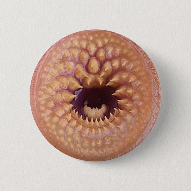 Chapa Redonda De 5 Cm insignia del bitey (Anverso)