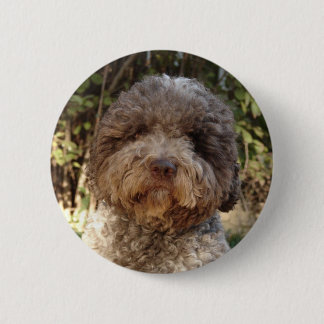 Chapa Redonda De 5 Cm insignia lagotto-romagnolo