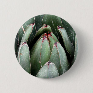 Chapa Redonda De 5 Cm Insignia redonda de la planta fotográfica Aloe Ver