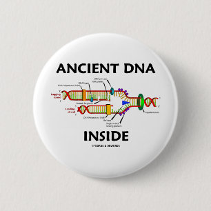 Chapa Redonda De 5 Cm Interior antiguo de la DNA (humor de la réplica d