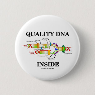 Chapa Redonda De 5 Cm Interior de la DNA de la calidad (réplica de la