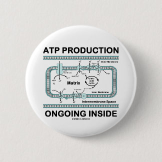 Chapa Redonda De 5 Cm Interior en curso de la producción del ATP