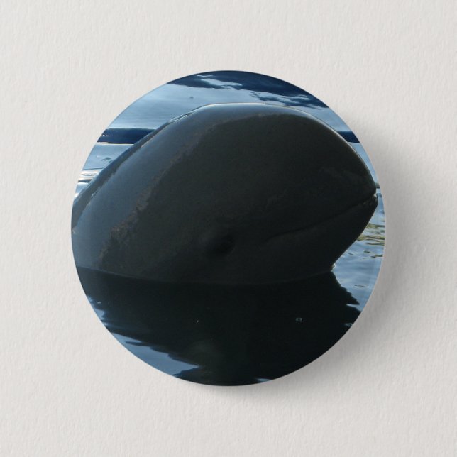 Chapa Redonda De 5 Cm Irrawaddy Dolphin Peek-A-Boo (Anverso)