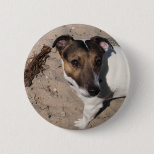 Chapa Redonda De 5 Cm Jack Russell klein Hund