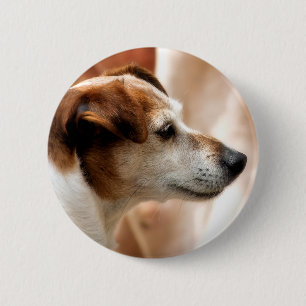 CHAPA REDONDA DE 5 CM JACK RUSSELL TERRIER DOG