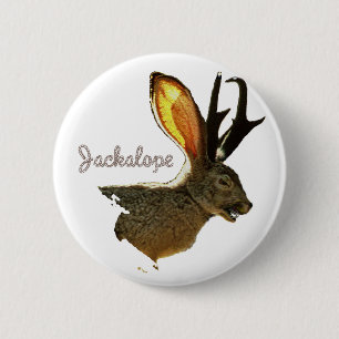 Chapa Redonda De 5 Cm Jackalope