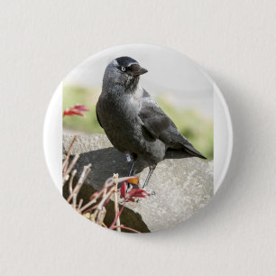 Chapa Redonda De 5 Cm jackdaw.jpg