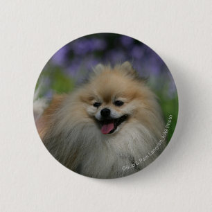 Chapa Redonda De 5 Cm Jadeo de Pomeranian