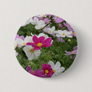 Chapa Redonda De 5 Cm Jardín de flores de cosmos coloridos