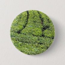 jardines de té de Munnar en 