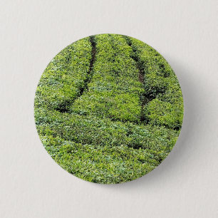 Chapa Redonda De 5 Cm jardines de té de Munnar en