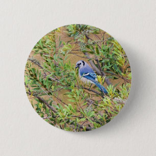 Chapa Redonda De 5 Cm Jay azul en Wax Myrtle