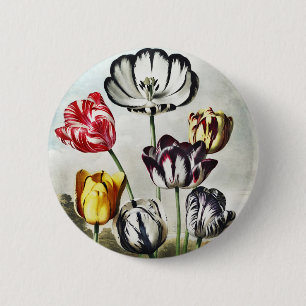 Chapa Redonda De 5 Cm John Thornton Tulips del Templo de la Flora
