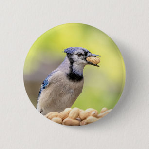 Chapa Redonda De 5 Cm Judía azul con un maní