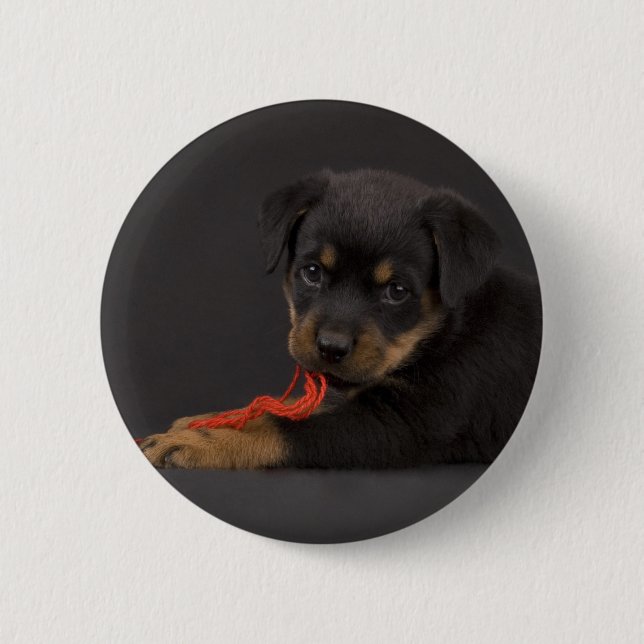 Chapa Redonda De 5 Cm Jugando al Cachorro 5 (Anverso)