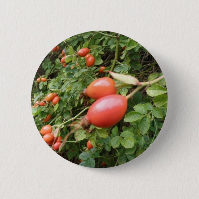 Chapa Redonda De 5 Cm Juicy Red Rose Hips Button (Anverso)