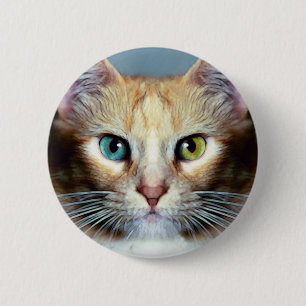 Chapa Redonda De 5 Cm Katz