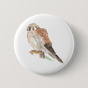Chapa Redonda De 5 Cm Kestrel Sparrow Hawk, acuarela