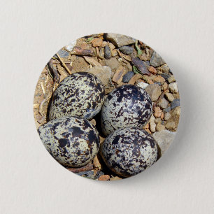Chapa Redonda De 5 Cm KillDeer Nest con huevos
