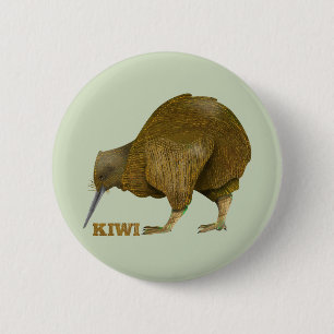 Chapa Redonda De 5 Cm Kiwi