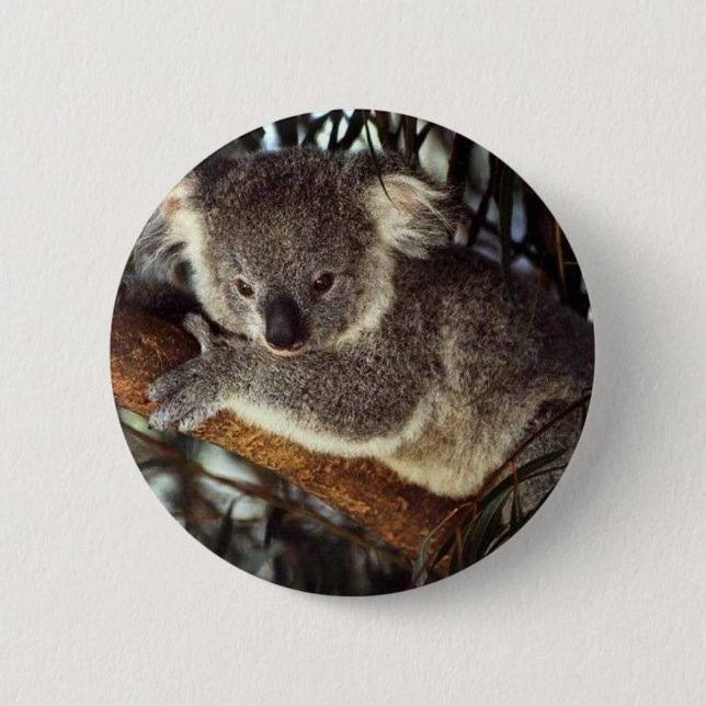 Chapa Redonda De 5 Cm Koala Bear (Anverso)