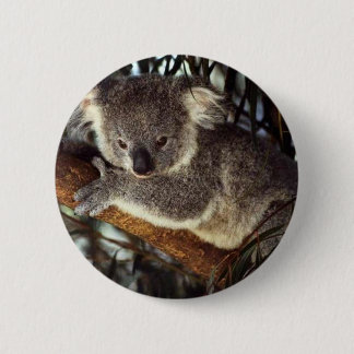 Chapa Redonda De 5 Cm Koala Bear