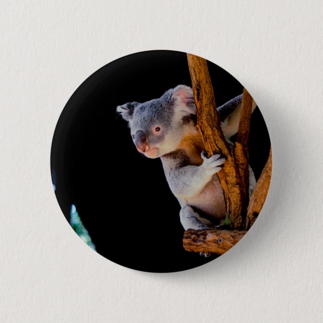 Chapa Redonda De 5 Cm Koala Cute en gris árbol (Anverso)