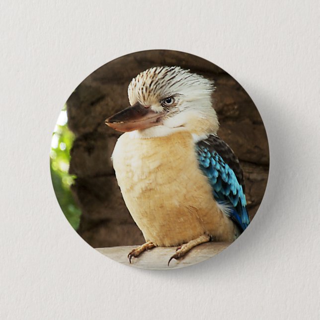Chapa Redonda De 5 Cm Kookaburra (Anverso)