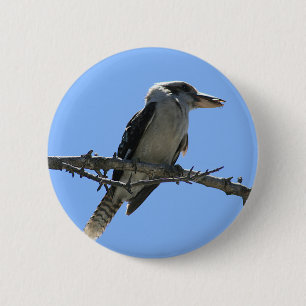 Chapa Redonda De 5 Cm Kookaburra australiana