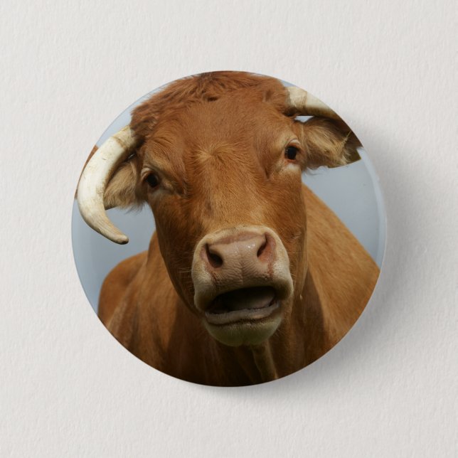 Chapa Redonda De 5 Cm kuh imbécil (Anverso)