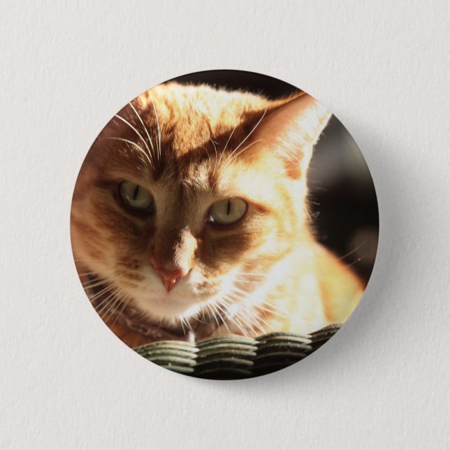 Chapa Redonda De 5 Cm ¡Kute Kitty! (Anverso)