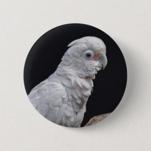 Chapa Redonda De 5 Cm La insignia Cockatoo de Goffin