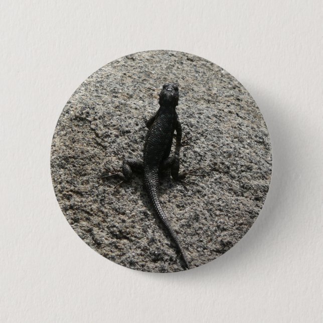 Chapa Redonda De 5 Cm Lagarto Negro (Anverso)