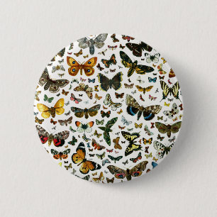 Chapa Redonda De 5 Cm Las mariposas y polillas más conocidas de Europa