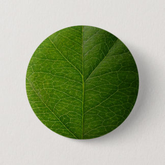 Chapa Redonda De 5 Cm Leaf verde
