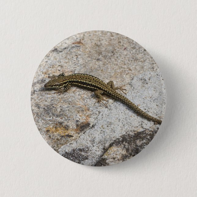 Chapa Redonda De 5 Cm Lechuga común (Anverso)