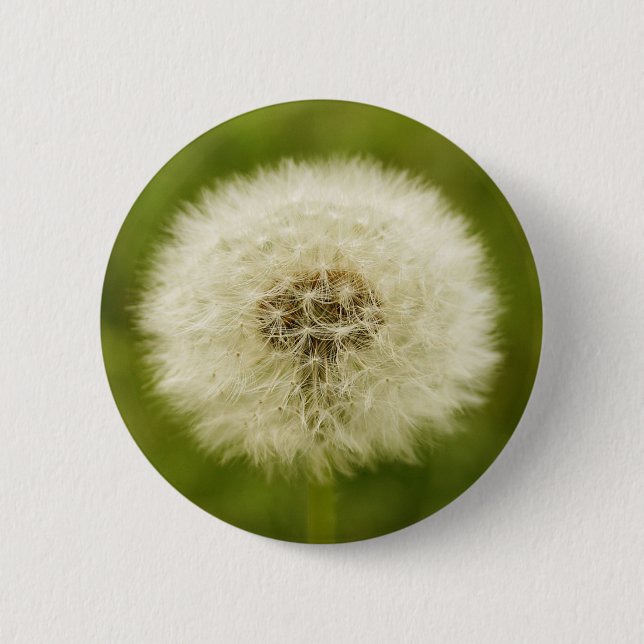 Chapa Redonda De 5 Cm León Dandy (Anverso)