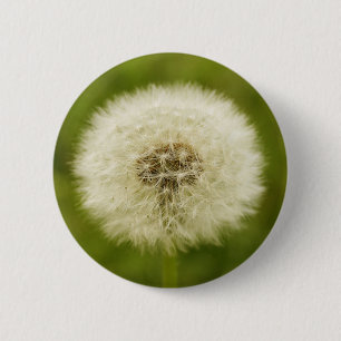 Chapa Redonda De 5 Cm León Dandy