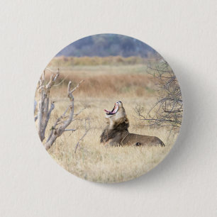 Chapa Redonda De 5 Cm León de Yawning