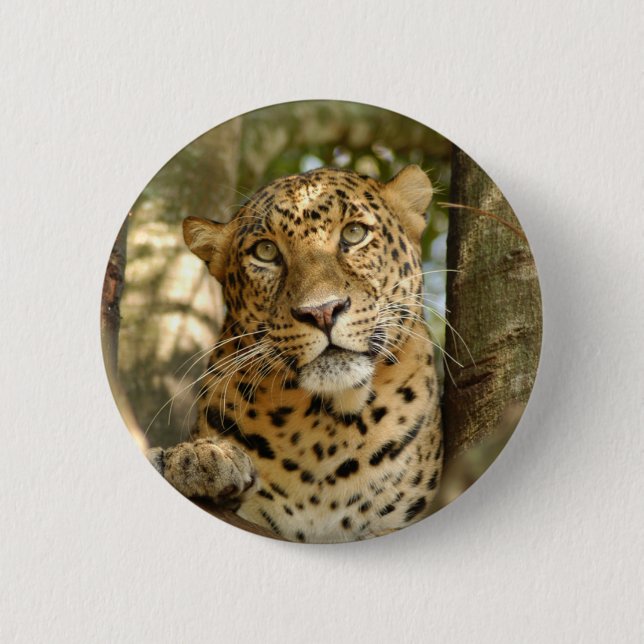 Chapa Redonda De 5 Cm LeopardCheetaro013 (Anverso)