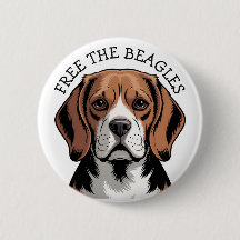Libera a los Beagles, Cara de Beagle
