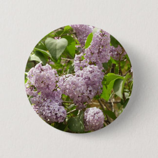 Chapa Redonda De 5 Cm Lilac Bush hermosas flores de primavera morada