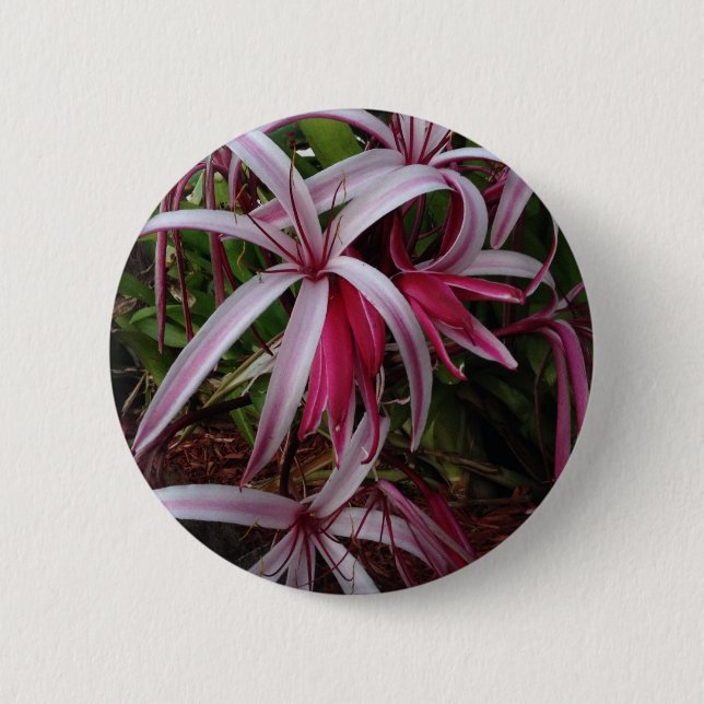 Chapa Redonda De 5 Cm Lily morada de la Reina Emma (Anverso)