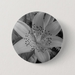 Chapa Redonda De 5 Cm Lily norteamericana