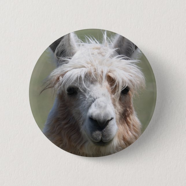 Chapa Redonda De 5 Cm Llama (Anverso)
