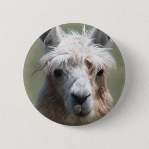 Chapa Redonda De 5 Cm Llama