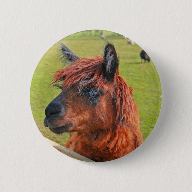 Chapa Redonda De 5 Cm Llama del jengibre (Anverso)
