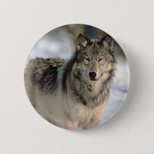 Chapa Redonda De 5 Cm Lobo alerta
