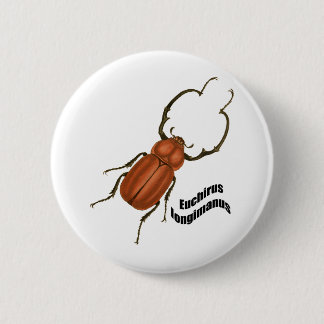 Chapa Redonda De 5 Cm Longimanis de Euchirus